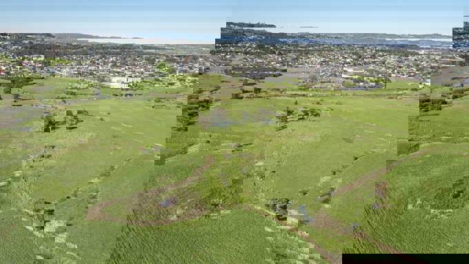 Image Of Puhinui Stream