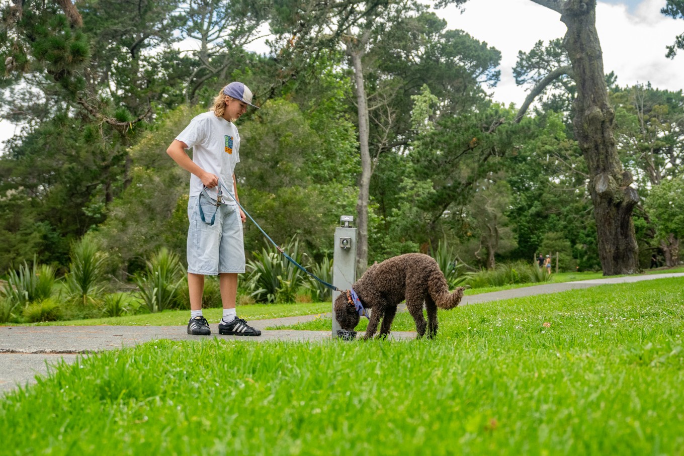 A dog drinking from a water bowl with his owner holding a leash. 