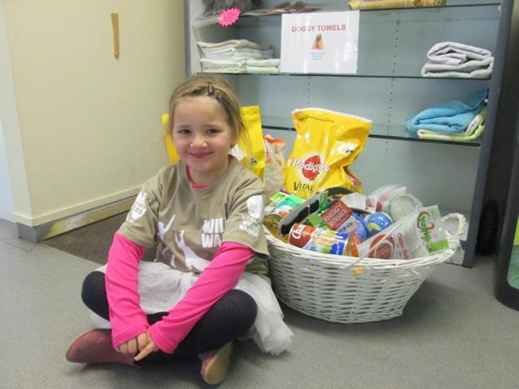 Sophia's donations