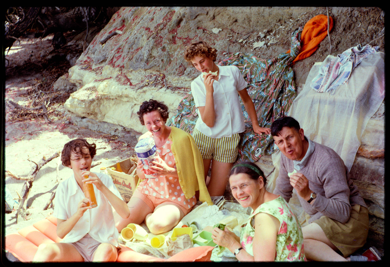 A group of friends in the 1960s enjoying a picnic. 