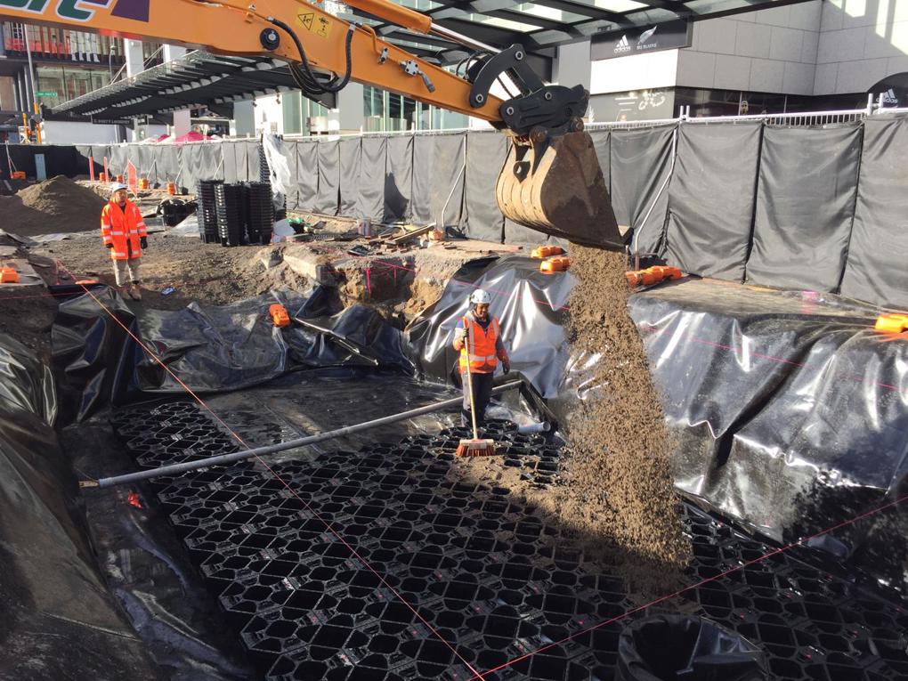 New rain gardens for revitalised Quay Street (3)