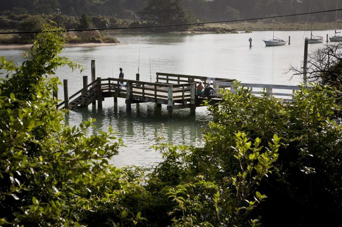 20220317 Auckland Water Strategy