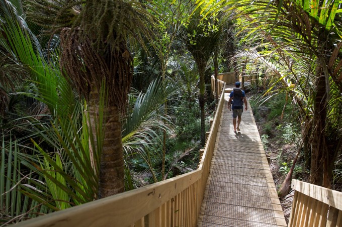 Summer adventures in and around Tāmaki Makaurau 3