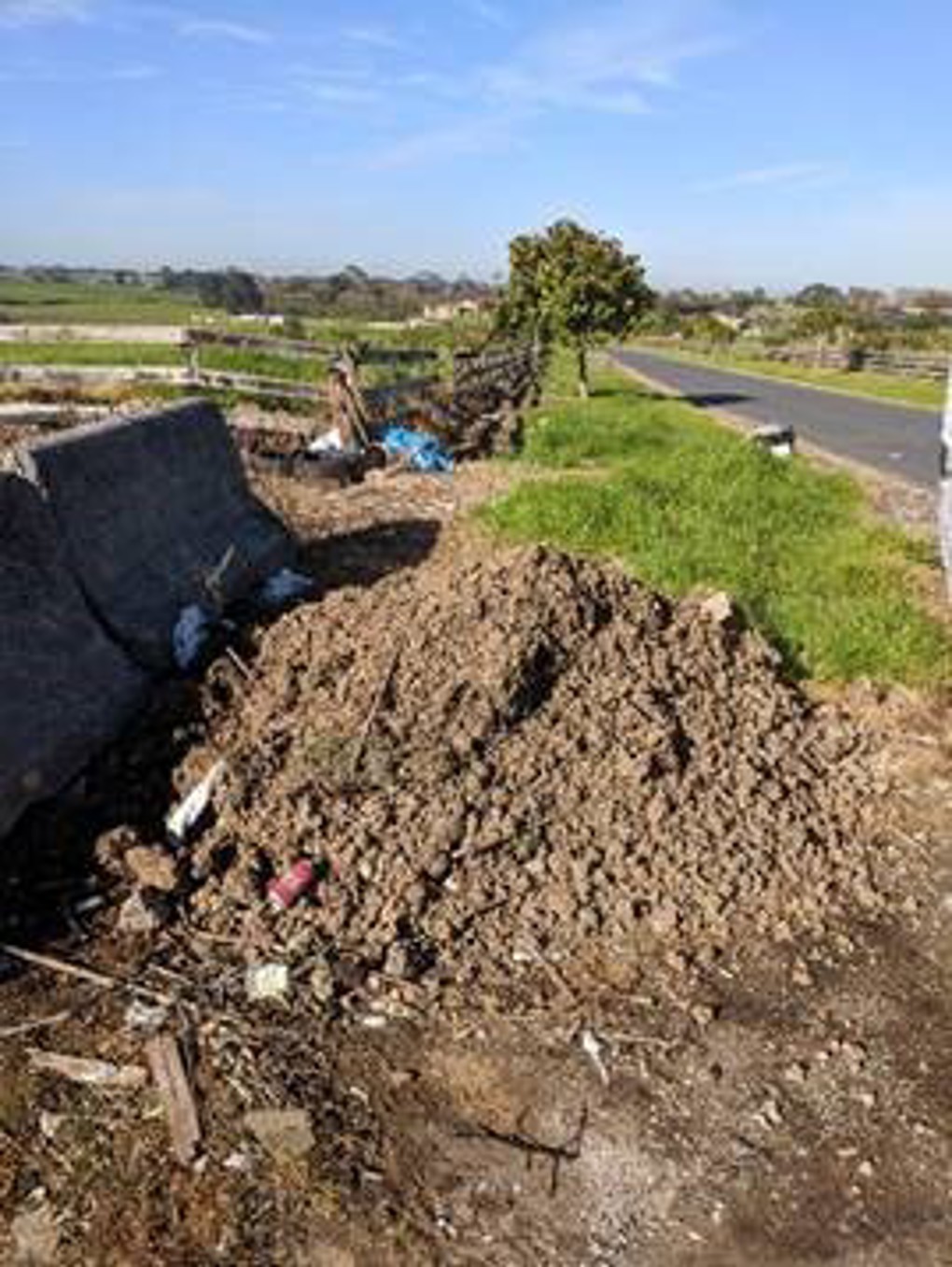 Mayor Phil Goff welcomes illegal dumping prosecution