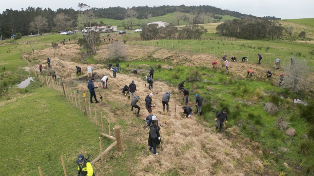 Planting Day In Warkworth
