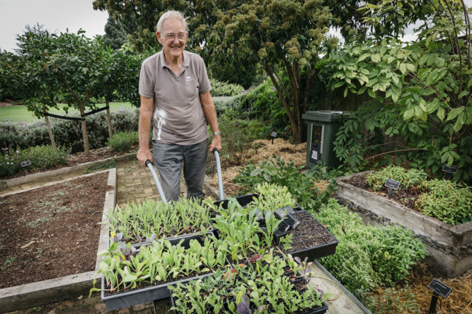 ways to stay active volunteer