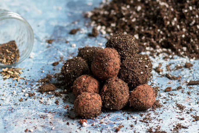 How To Make Wildflower Seed Bombs _ Storables_nqz5m1p0.png