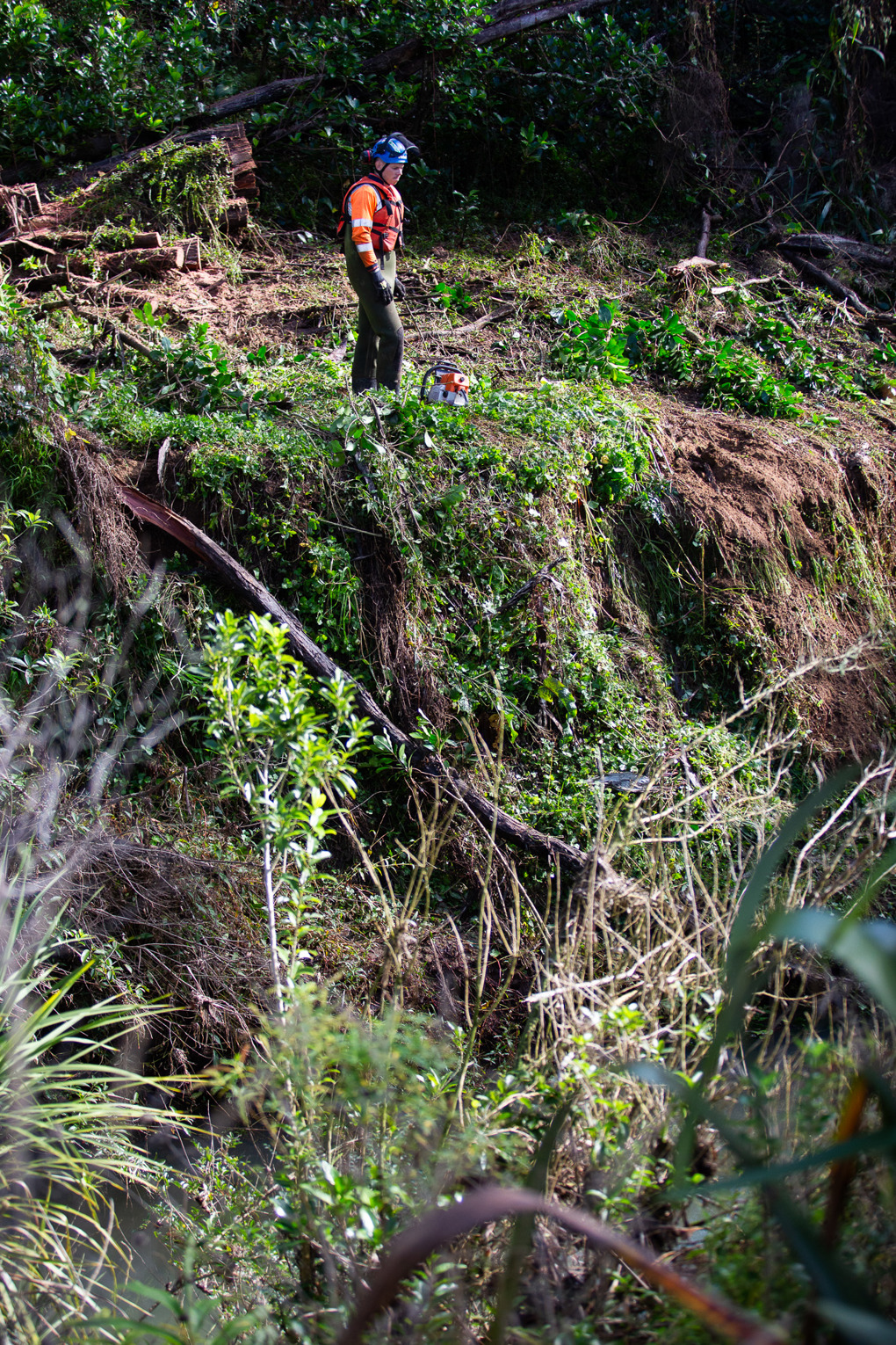 Major debris removal has taken place across Auckland waterways