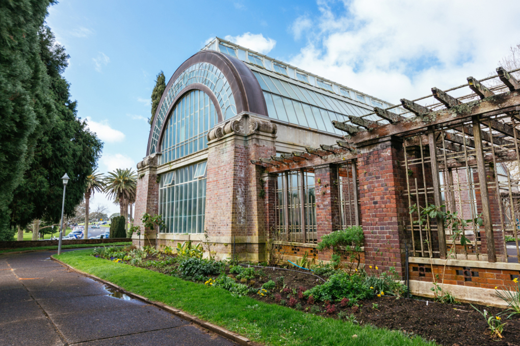 Gardening tips from Auckland’s Wintergardens team