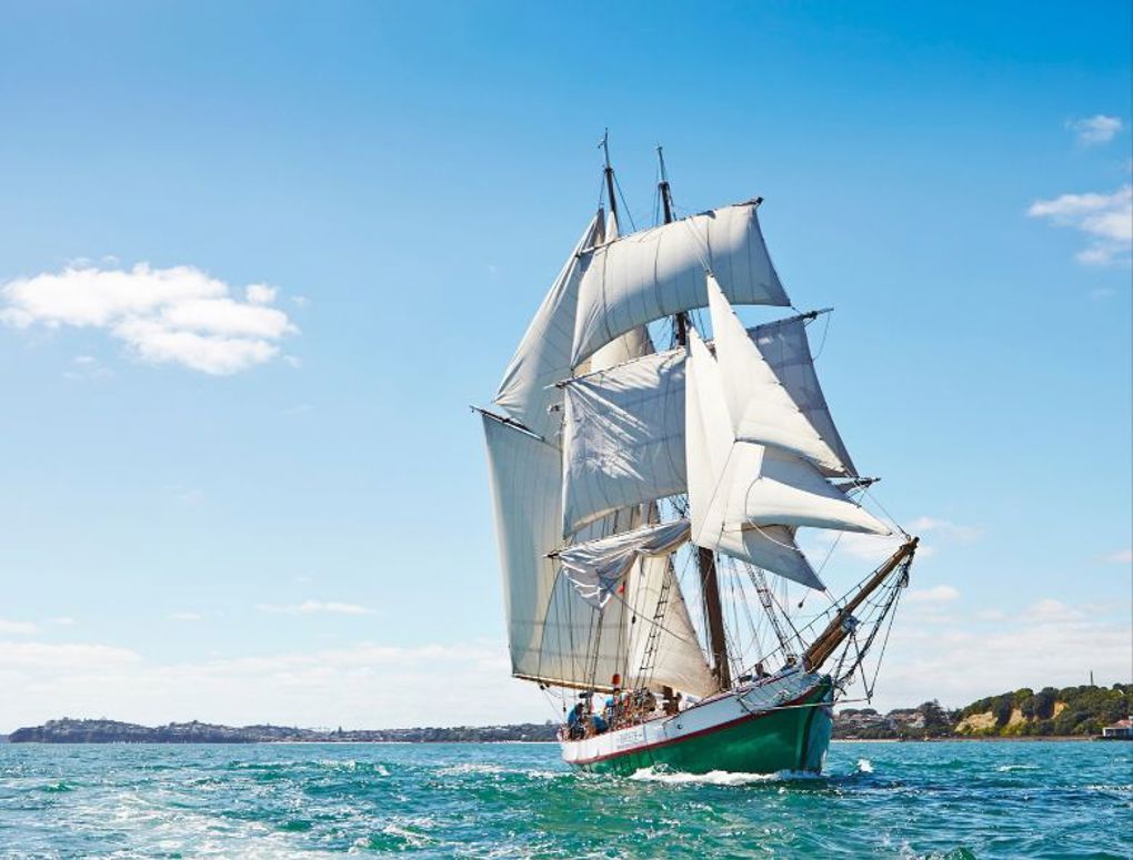 Our Auckland Breeze Sailing_o3d3c2cp.jpg