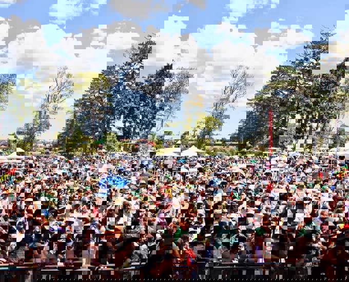 Henderson-Massey Local Board to push for more funding for Waitangi Day celebrations