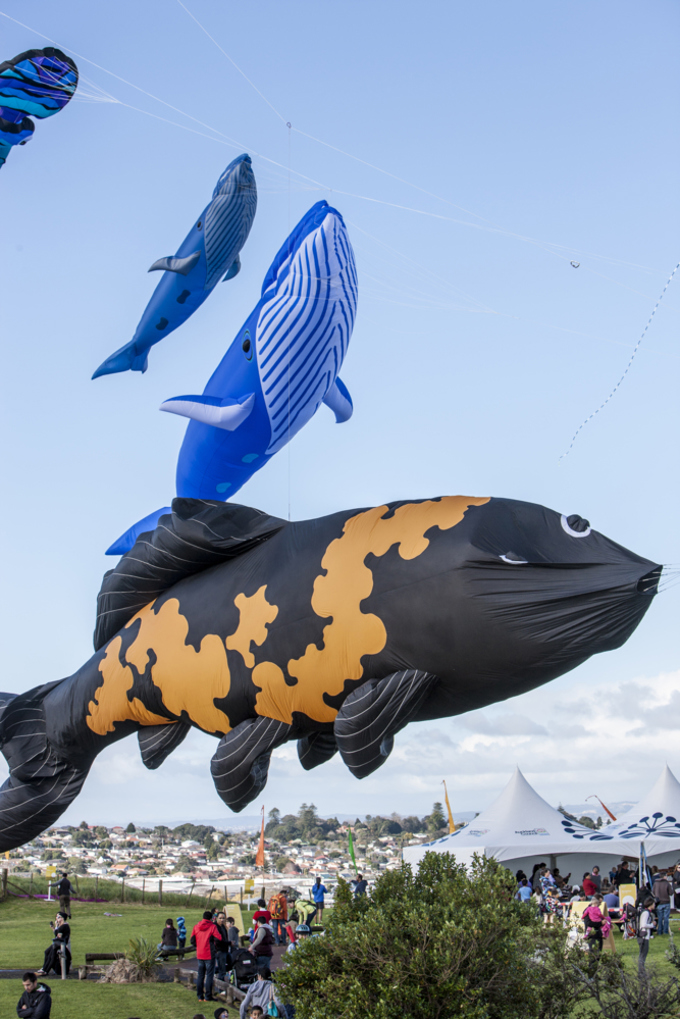 Impressive Matariki Festival line-up to light up your winter - Manu Aute Kite Day