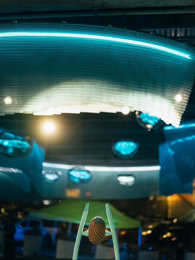 Aklcouncil Myerspark image 3