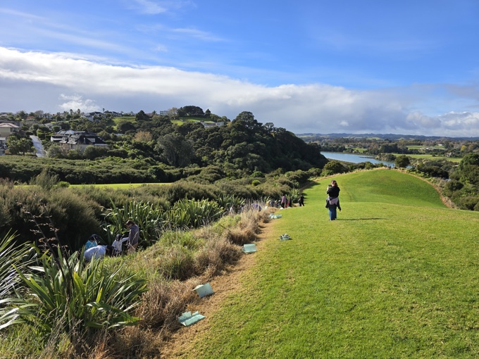 Mangemangeroa Planting