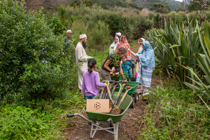 Matuku Link Volunteers Planting