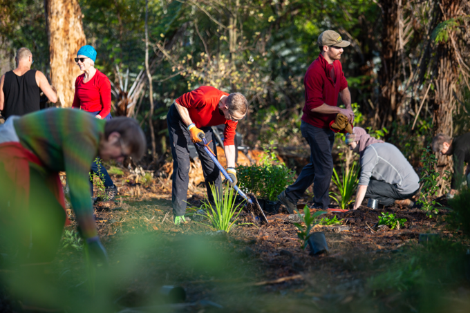Mayoral Conservation Awards