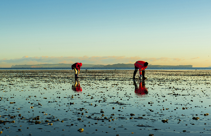 Gritty sporting sub culture portrait wins 2018 Nikon Auckland Photo Day (2)