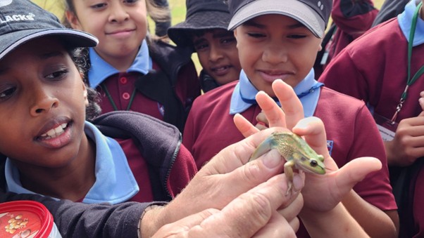 Kids holding a frog in their hand. 