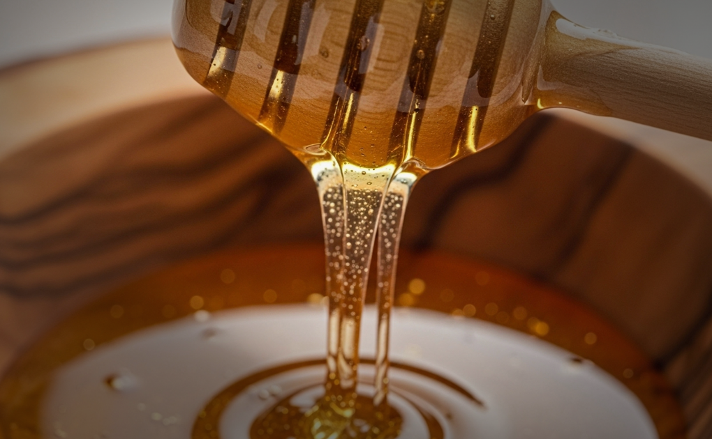 Honey OurAuckland pic - MH NB_tg1qu4pu.png