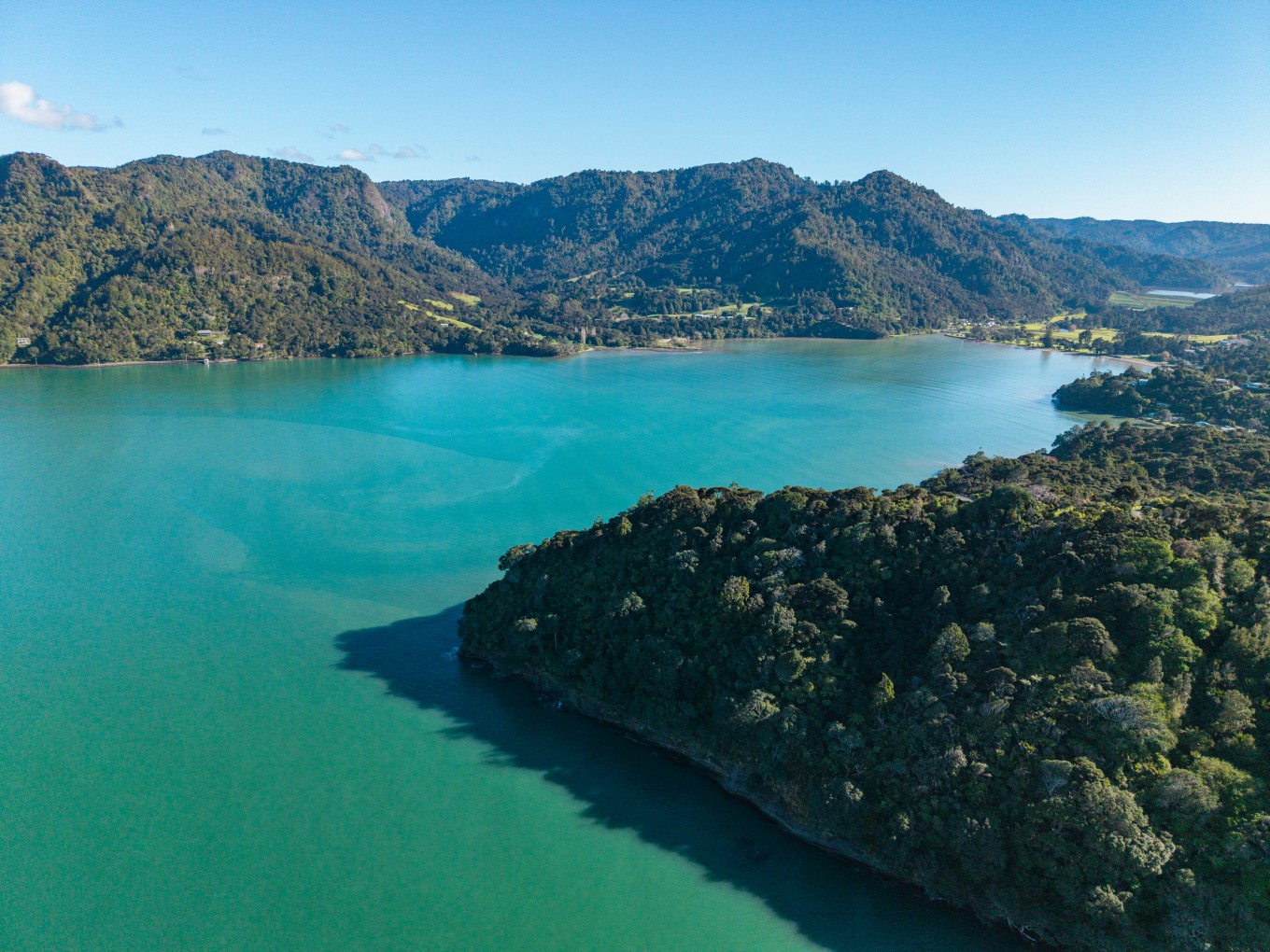 A blue water area with forest surrounding it. 