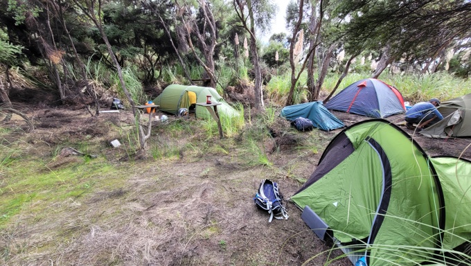 Reptile surveillance