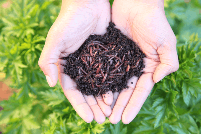 Untitled design (25)_wckif3c2.png