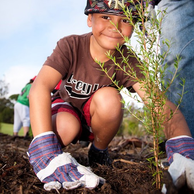 Walking with lighter footprints (2)
