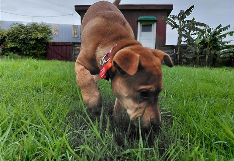 00B43e9c B05a 4Af0 Ad87 37318Ff3a1c5