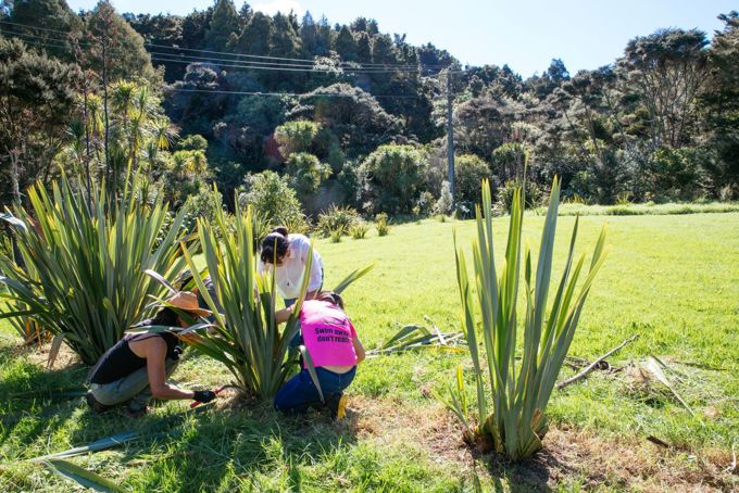 Community volunteers in the garden.
