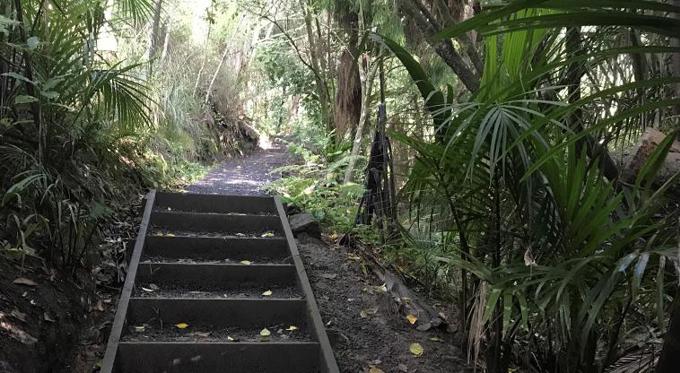 Find a walk, track or trail in Orakei