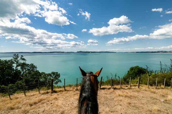 Horse Riding Image 1