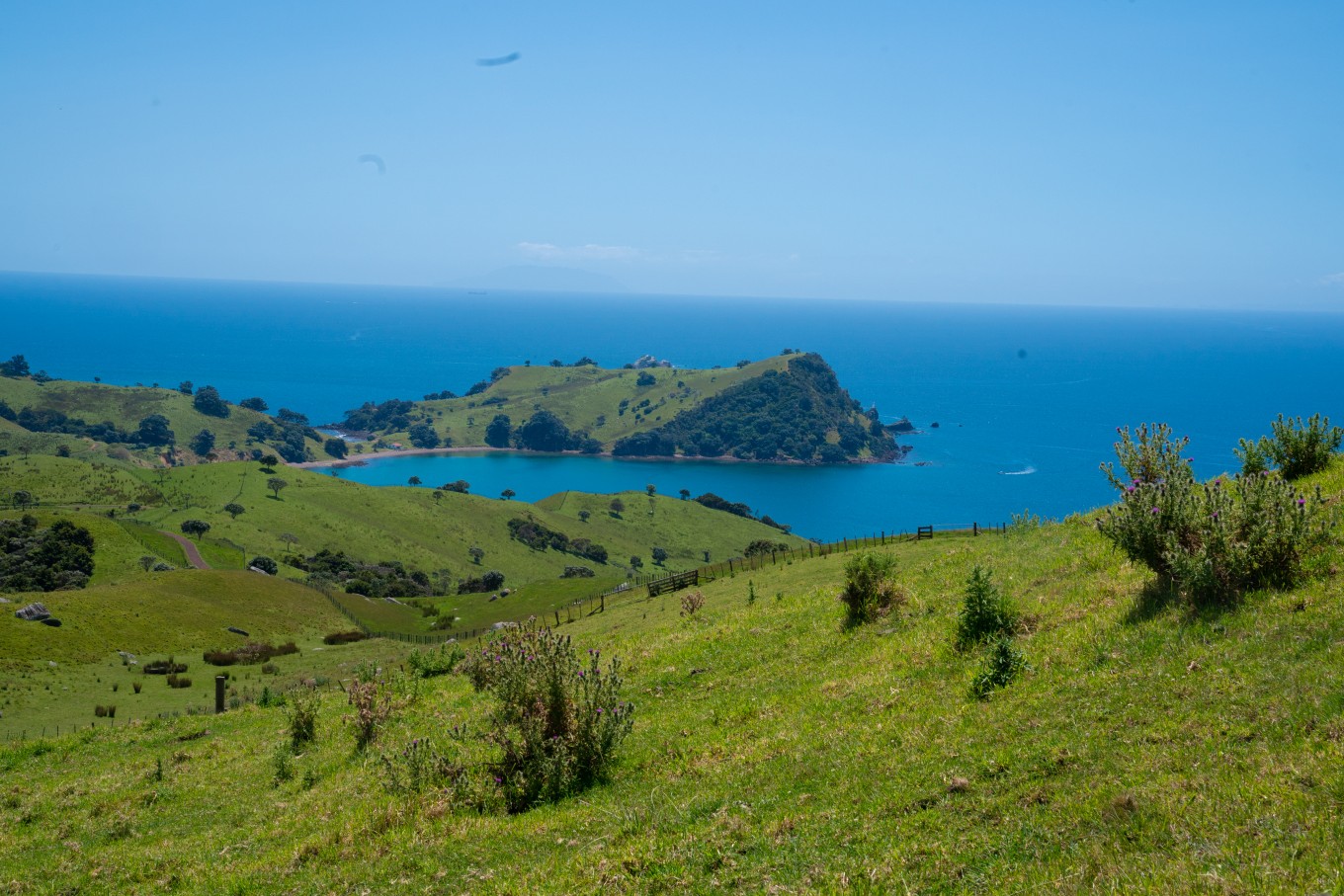 A hilltop view of the ocean.