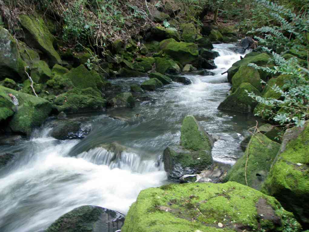 Friends of Oakley Creek II