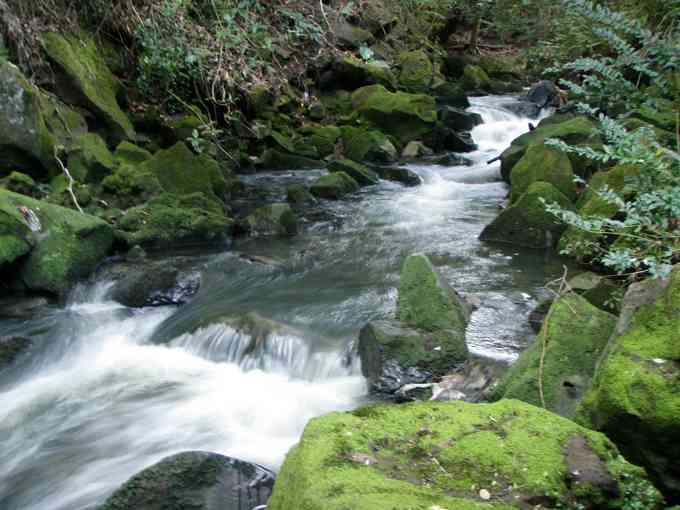 Friends of Oakley Creek II