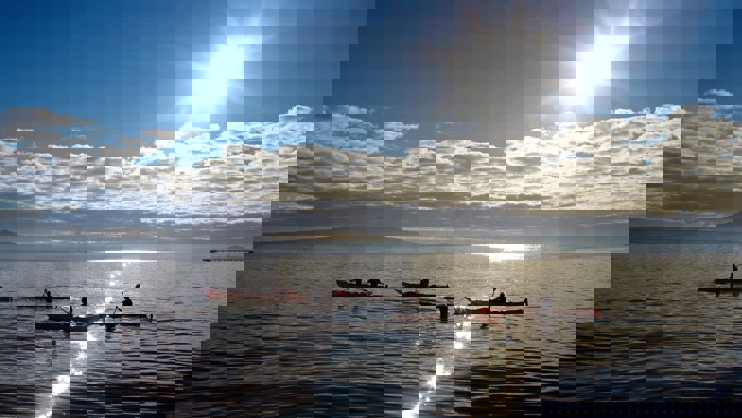 Elemental AKL festival returns in July