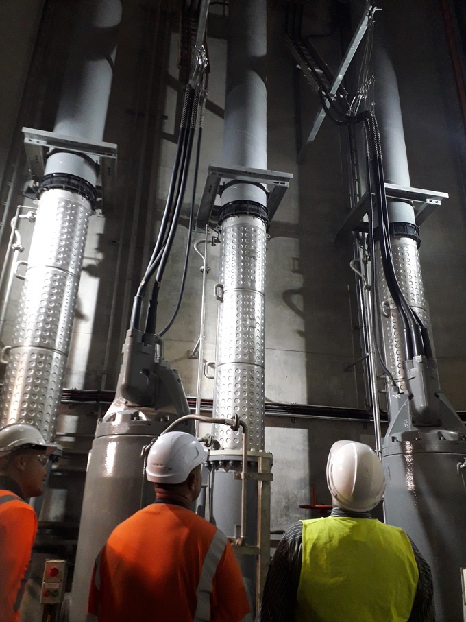 Discovering the depths of Orakei