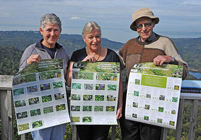 Local board tackles weeds in the Waitākere Ranges