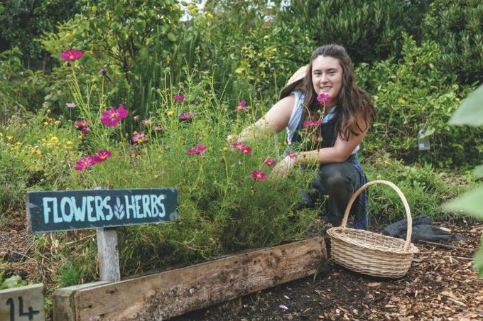 Quality urban development, community and climate change prioritised in Waitemata