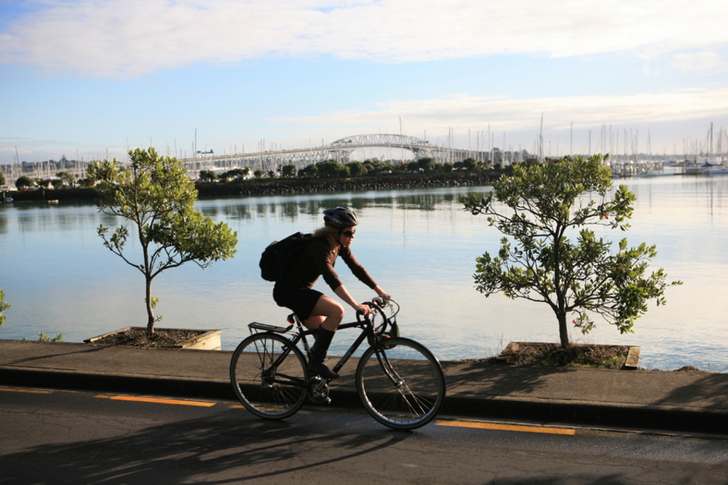 A timeline of the Auckland Unitary Plan 2