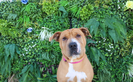 Maggie tile image