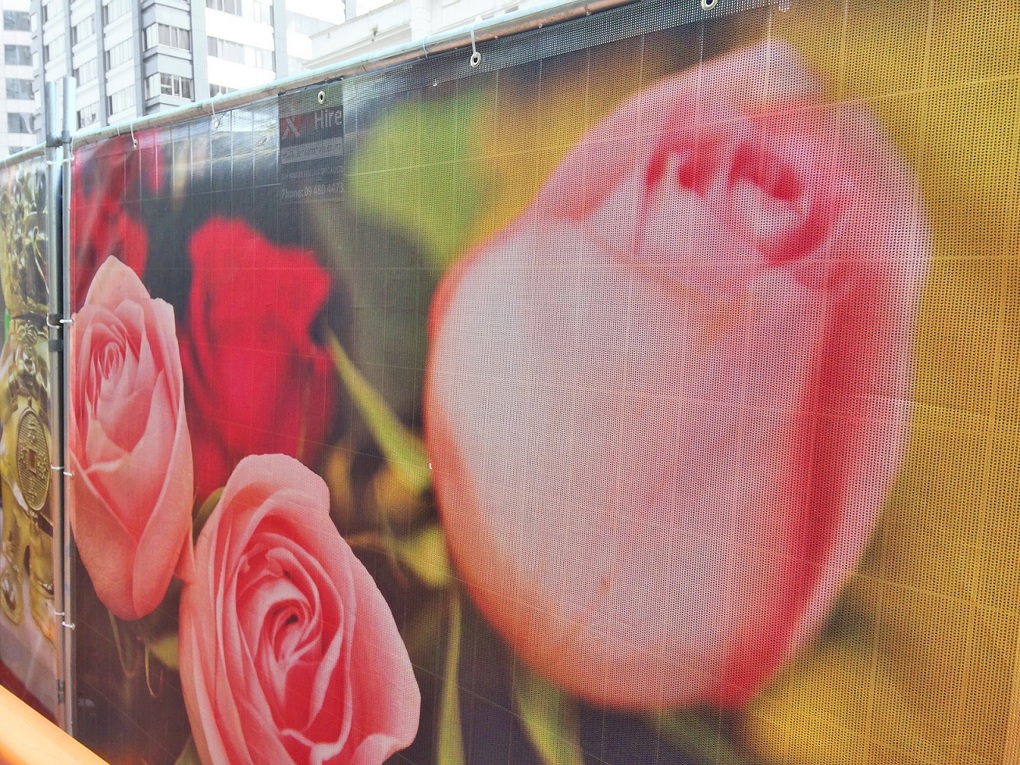 Photos add splash of colour to city rail link 1
