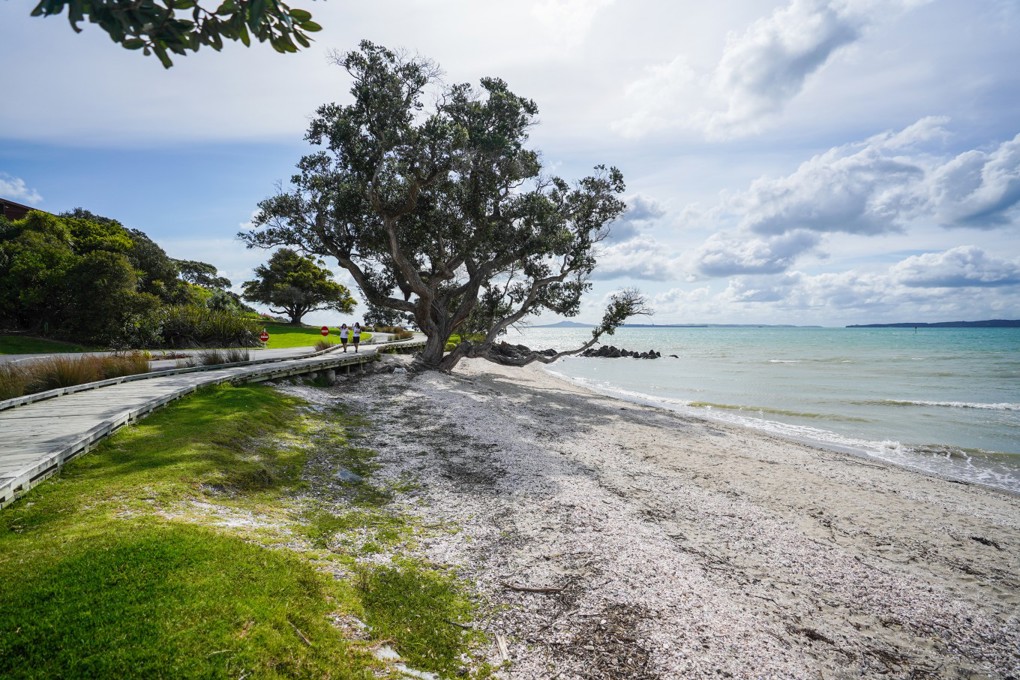 Omana Beach Image 1