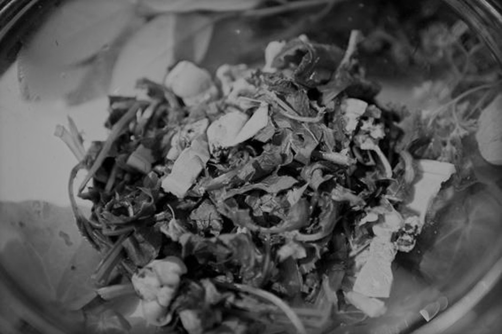 Heritage Festival Diary Food Hangi Masters (2)