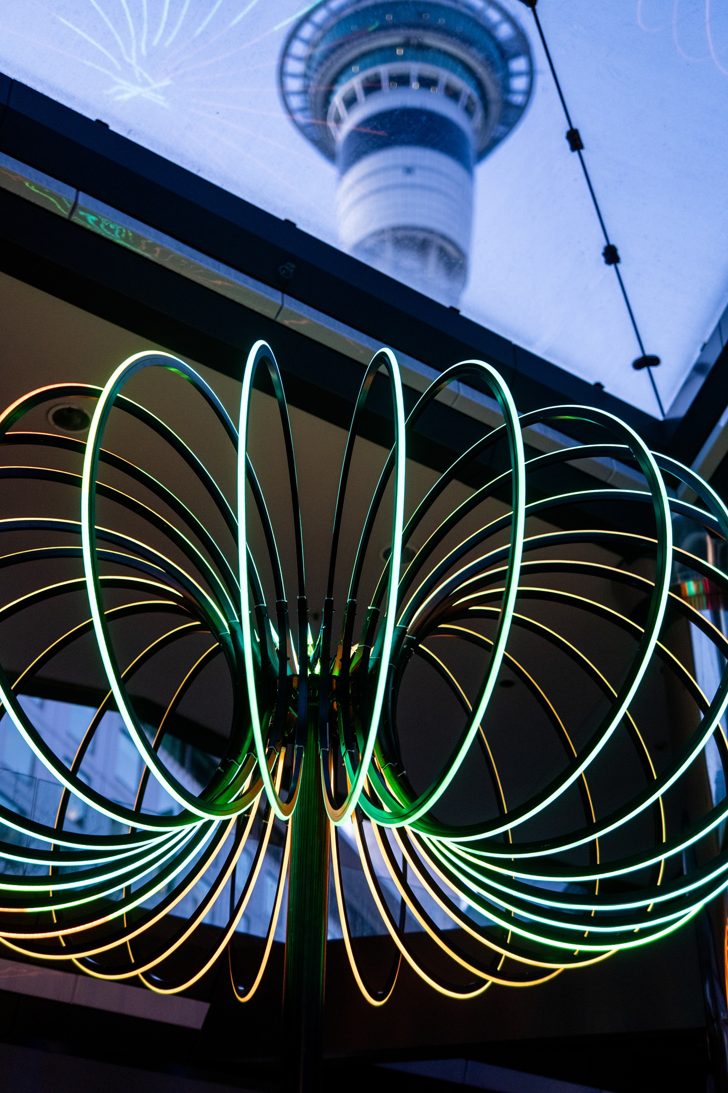 Federal St winter lights.