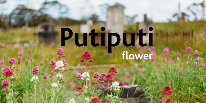 Te Kupu o te Wiki 19 March