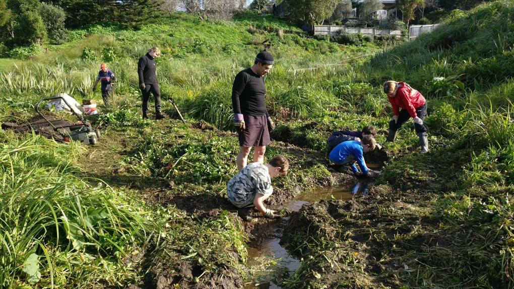 Community garden brings locals together in Onehunga
