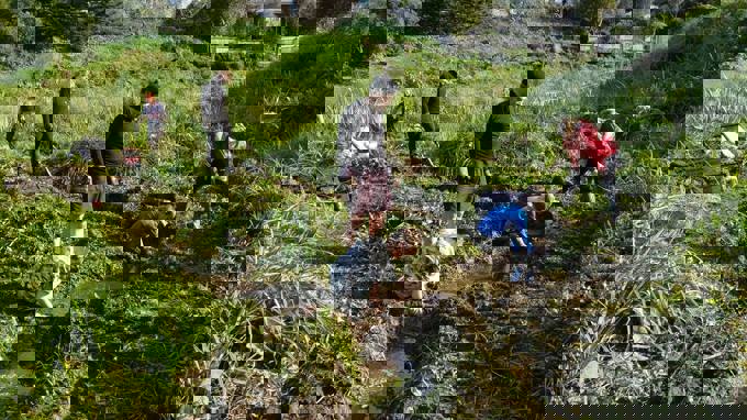 Community garden brings locals together in Onehunga