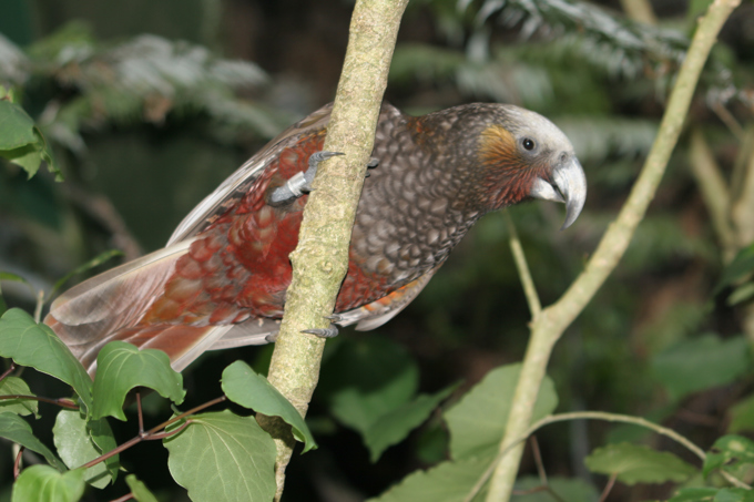 Bring back the music.jpg