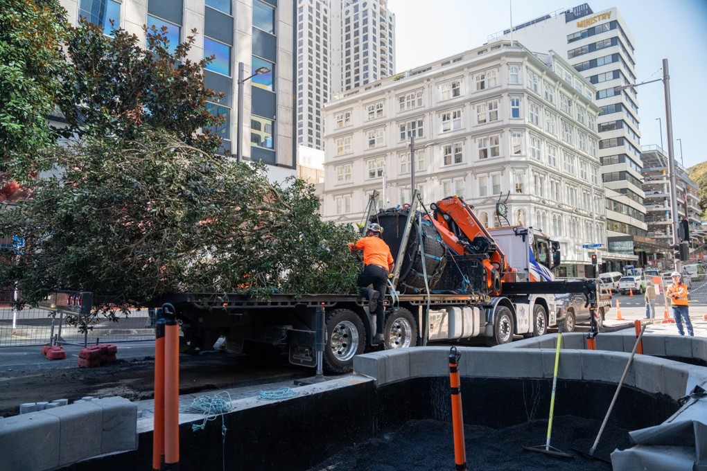 Tree Planting CBD Image 5