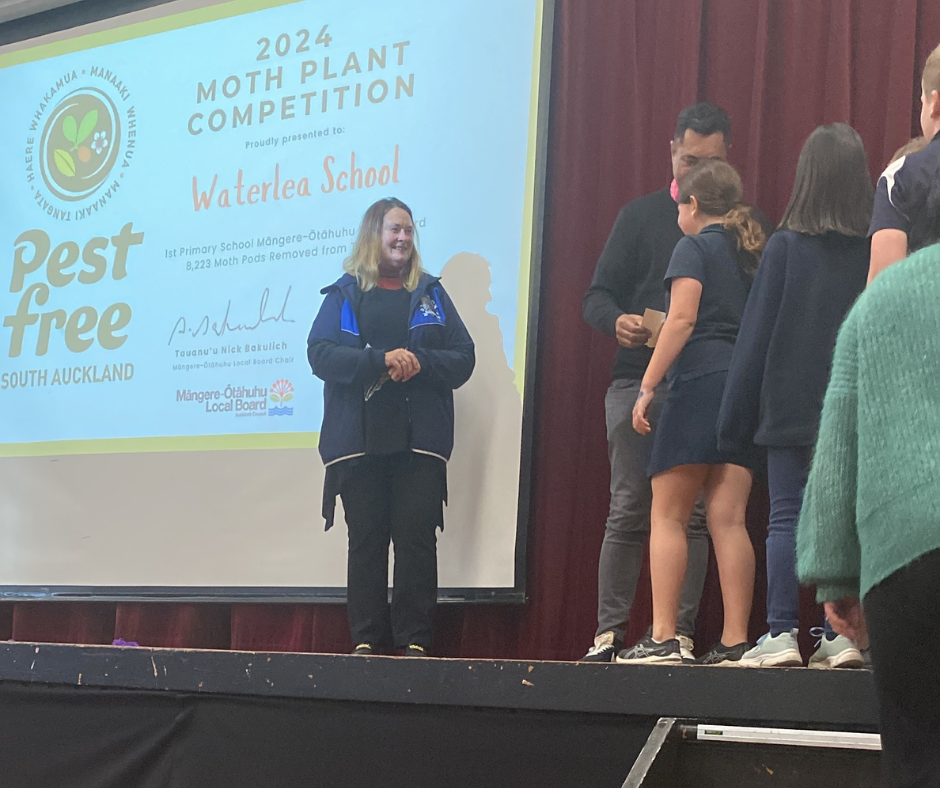 2024 Moth Plant Competition winners.